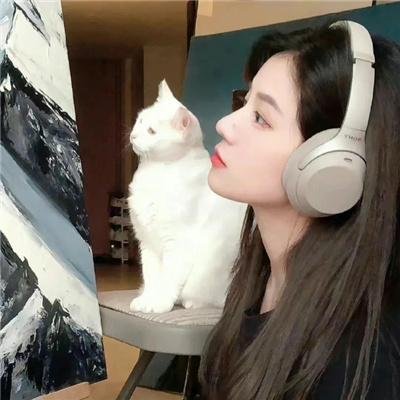 齿轮上的时空糖